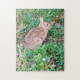 Wild Rabbit Puzzle 