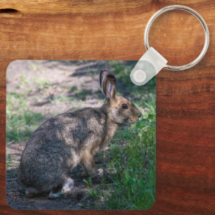 Wild Rabbit, Quiet Nature Portrait Key Ring