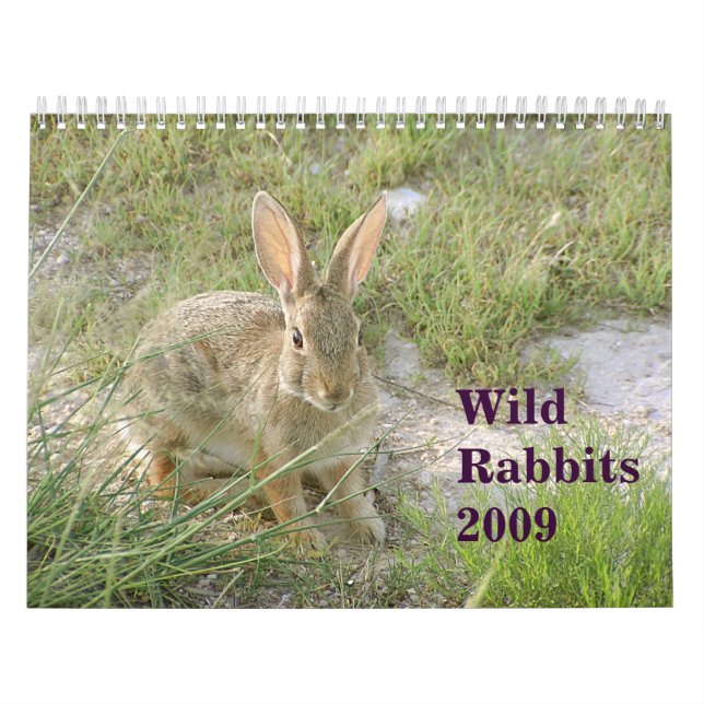 Wild Rabbits 2009 Calendar (Cover)