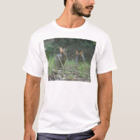 Wild Rabbits Eastern Cottontail Pair Apparel Gifts