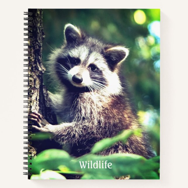 Wild Racoon on the Jungle Notebook (Front)