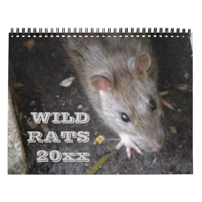 Wild Rats Personalised Calendar (Cover)