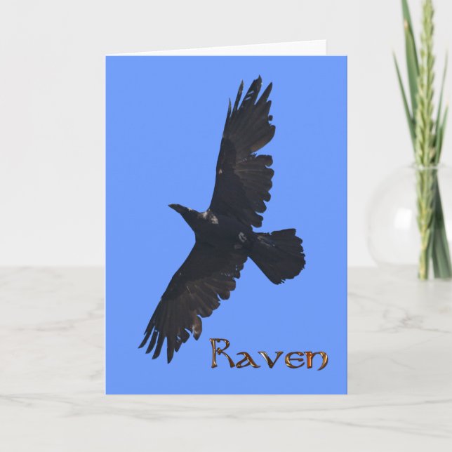 Wild Raven Wildlife Photo Gift Thank You Card (Front)