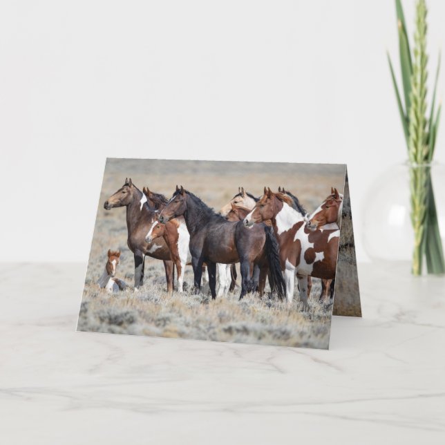 Wild Red Desert Mares and Foals - Greeting Card (Front)