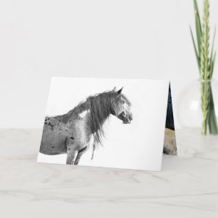 Wild Red Desert Stallion - Greeting Card