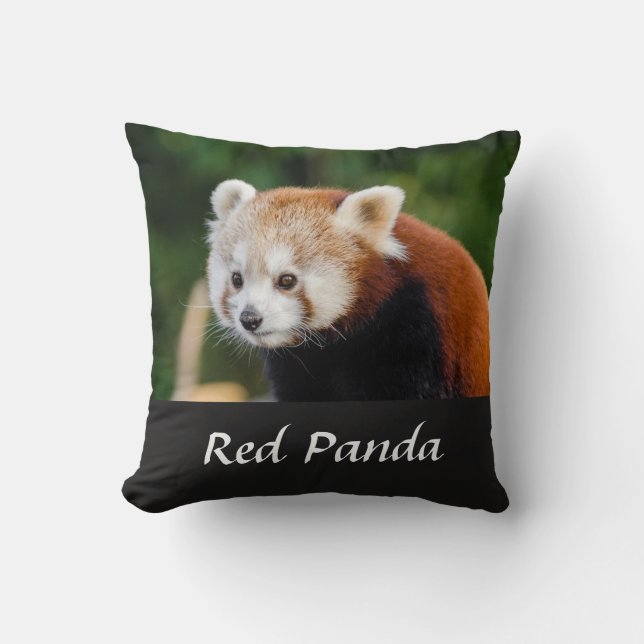 Wild Red Panda Nature Photo Cushion (Front)