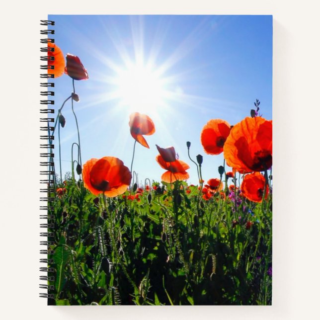 Wild Red Poppies Flowers Notebook (Front)