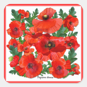 Wild Red Poppies Square Sticker