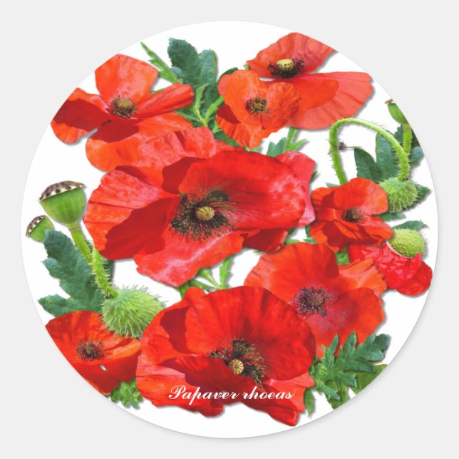 WILD RED POPPY  CLASSIC ROUND STICKER (Front)