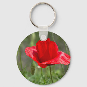 Wild red poppy flower key ring