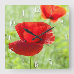 Wild red poppy flower square wall clock