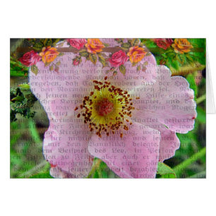 Wild Rose
