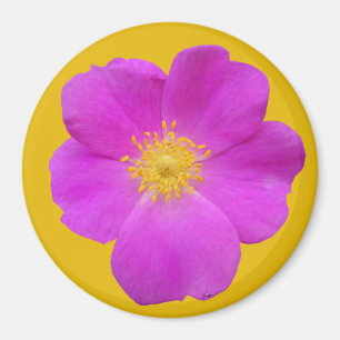 Wild Rose 2 Magnet