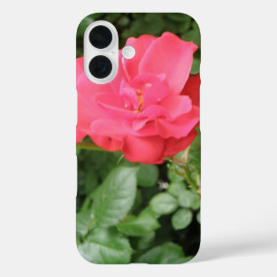 Wild Rose iPhone 16 Case