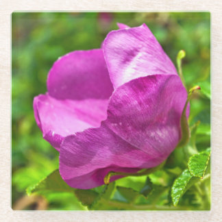 Wild Rose Coaster