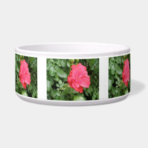 Wild Rose Dog Bowl