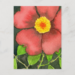 Wild Rose Floral Postcard