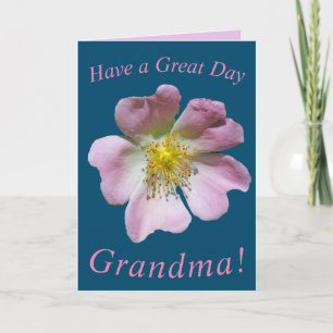Wild Rose Flower Birthday Card for Grandma