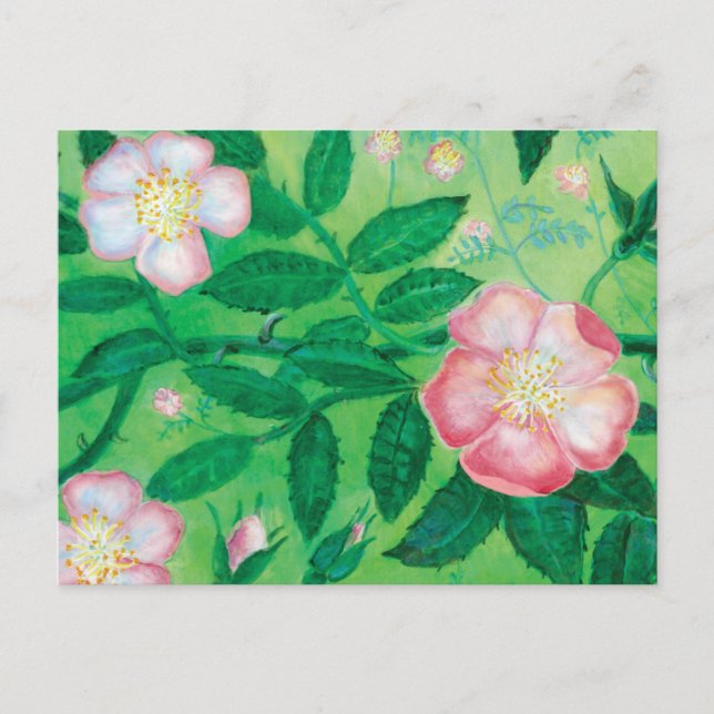Wild rose flowers    holiday postcard (Front)