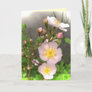 Wild Rose Flowers Thank You Card