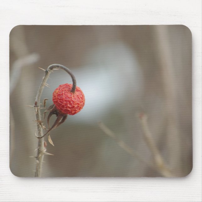 Wild Rose Fruit Mousepad (Front)
