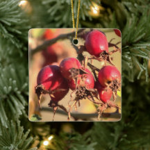 Wild Rose Hips Christmas Ornament