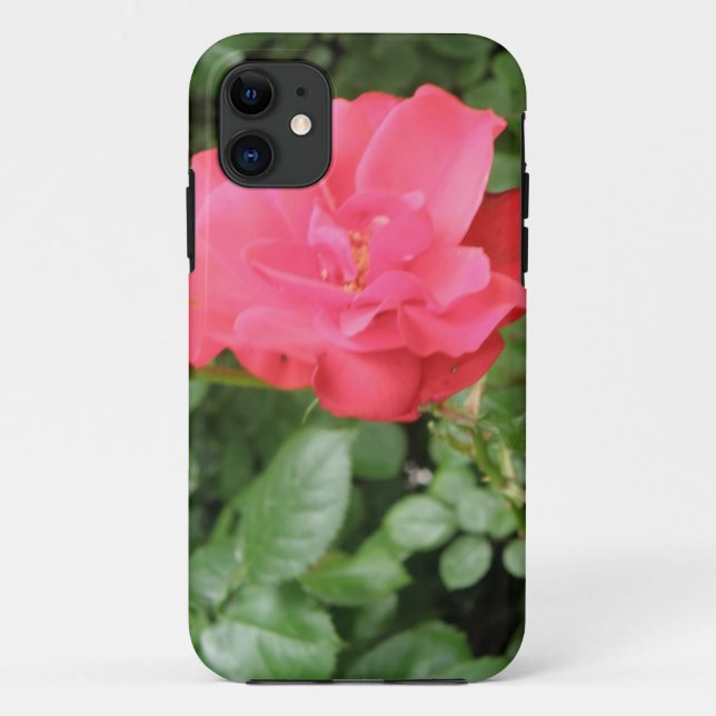 Wild Rose iPhone Case (Back)