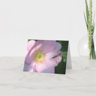Wild Rose Notecard