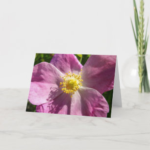 Wild Rose Notecard