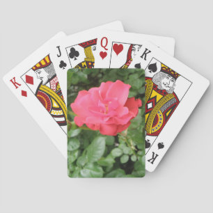 Wild Rose Playing Cards
