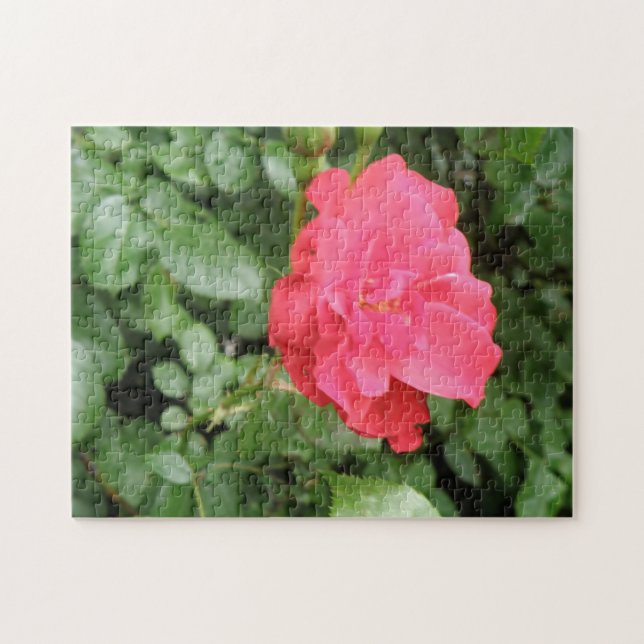 Wild Rose Puzzle (Horizontal)