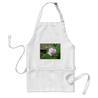 Wild Rose Standard Apron