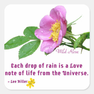Wild Rose Wildflower Rain Quote Square Sticker