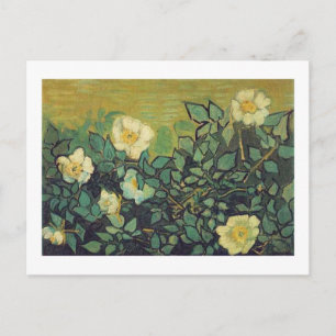 Wild Roses,1890. Vincent van Gogh. Postcard