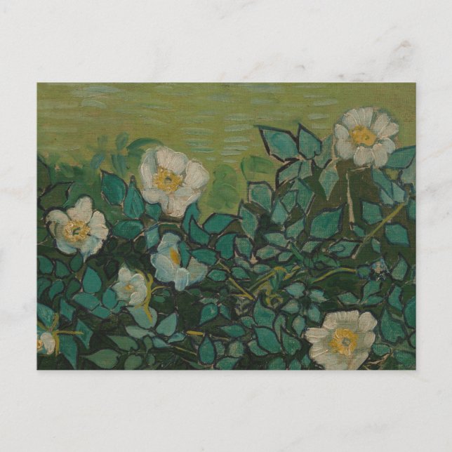 Wild Roses by Vincent Van Gogh Postcard (Front)