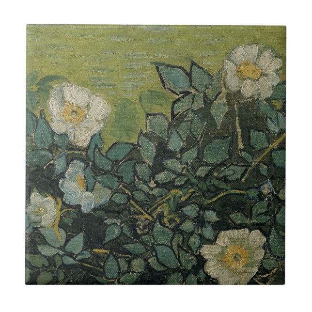 Wild Roses by Vincent van Gogh Tile (Front)