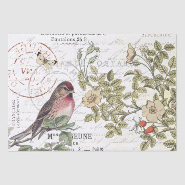 Wild Roses Carte Postale Songbird French Script  Tissue Paper (Front)