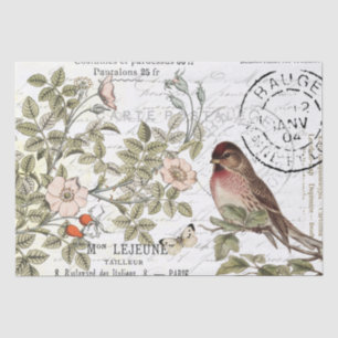 Wild Roses Carte Postale Songbird French Script Tissue Paper