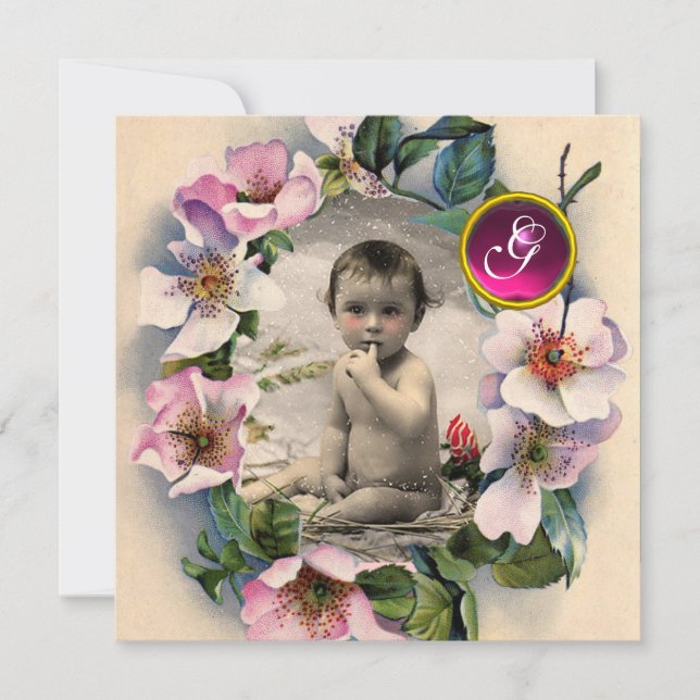 WILD ROSES CROWN ,STORK BABY SHOWER PHOTO TEMPLATE (Front)