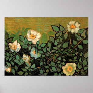 Wild Roses (F597) Van Gogh Fine Art Poster