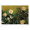 Wild Roses (F597) Van Gogh Fine Art