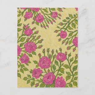 Wild Roses Postcard