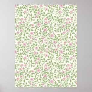 Wild roses poster