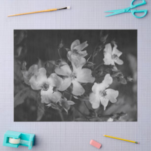 Wild roses  tissue paper