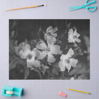 Wild roses  tissue paper