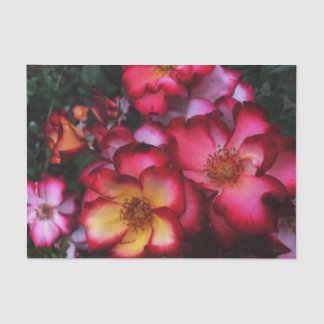 Wild Roses Tissue Paper