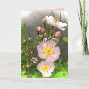 Wild Roses Valentine Holiday Card