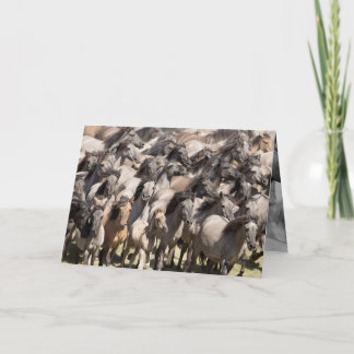 Wild Run - Wild Horse Greeting Card
