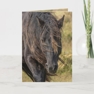 Wild Sable Island Stallion's Mane Greeting Cards