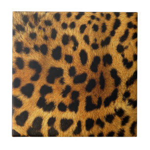 wild Safari animal cheetah girly leopard print Tile